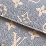 Louis Vuitton Wallet on Chain Ivy M12778 Gray